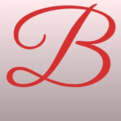 Brenzo, фирма по производству автошторок, лого-визитка