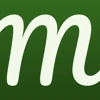 Магазин искусственных цветов, ИП Наумова С.А., лого-визитка