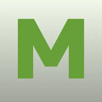 Мир налоговых систем, бухгалтерская компания, лого-визитка