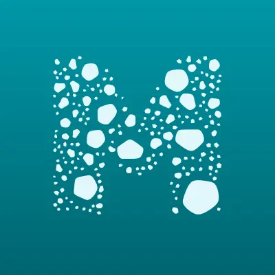 Мистер Робот